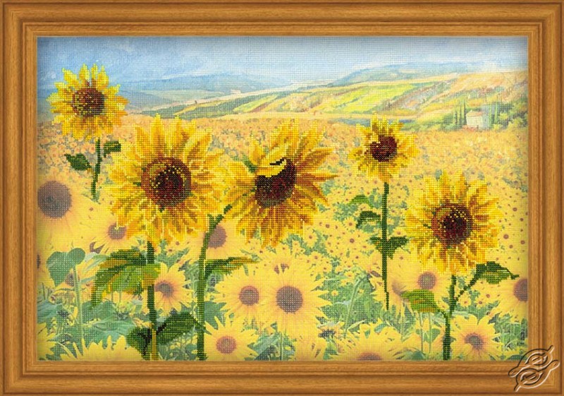 Free Sunflower Cross Stitch Chart