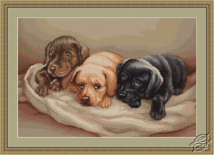 Cross stitch kits - luca-s - animals - gvello stitch.
