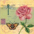 Postcard - Rose