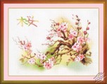 Branch of Sakura