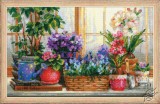 Windowsill with Flowers