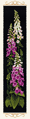 RIOLIS Foxgloves