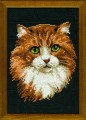 Chestnut Cat