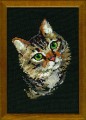 Varicoloured Cat