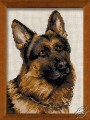 German Shepherds;