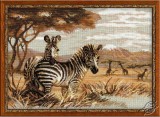 The Zebras In The Savannah