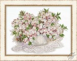 Cherry Blossom