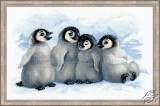 Funny Penguins