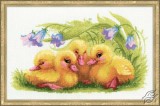 Funny Ducklings