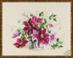 Clematis