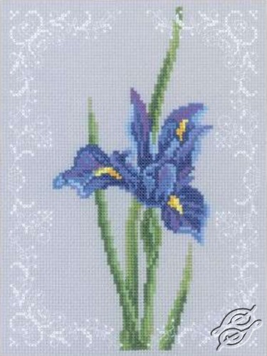 CROSS STITCH KITS - RTO - Cross Stitch Kits - Flowers ...