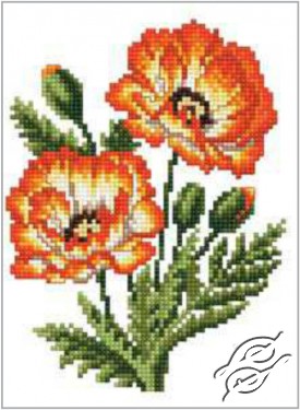 FREE PATTERNS - Flowers - Carnations - Gvello Stitch
