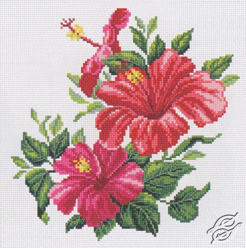 CROSS STITCH KITS - RTO - Cross Stitch Kits - Flowers - Hibiscus