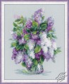 Gentle Lilac