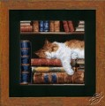 Cat Sleeping On Bookshelf