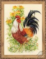 Rooster