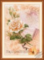 Love Letters. Rose