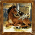 Foal and Puppy