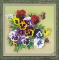 Pansies