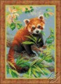 Red Panda