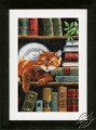 Cat on Bookshelf