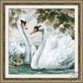 White Swans