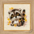 Little Raccoon