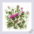 Thistle