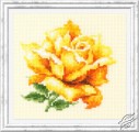 Yellow Rose