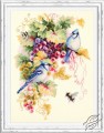 Blue Jay and Grapes