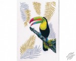 Toucan