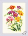 Fragrant Freesia