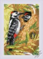 Woodpecker