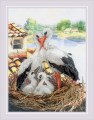 Stork Family