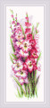 Charming Gladioli