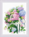 Hydrangea Garden