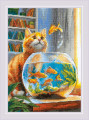 Ginger Observer