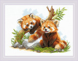 Red Panda Cubs