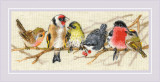 Birds on the Branch