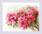 Gorgeous Azalea