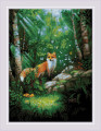 Fox in the Forest